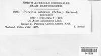 Puccinia asterum image
